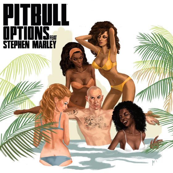 Pitbull feat. Stephen Marley - Options - Affiches