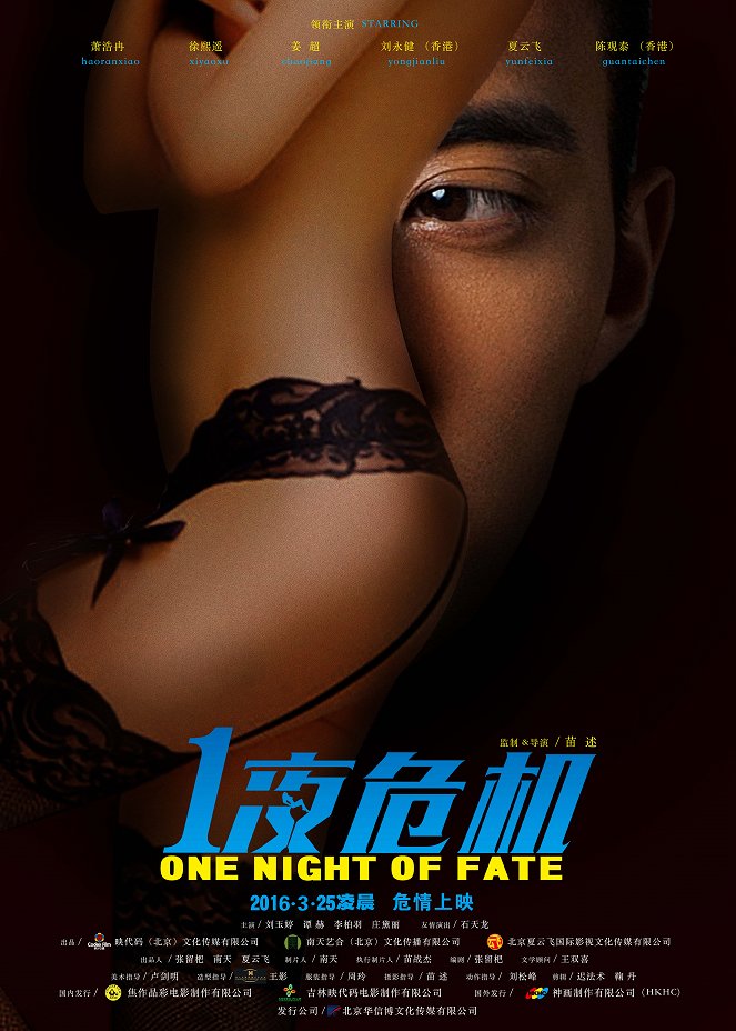 One Night of Fate - Posters