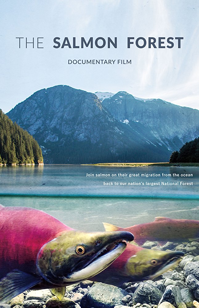 The Salmon Forest - Affiches