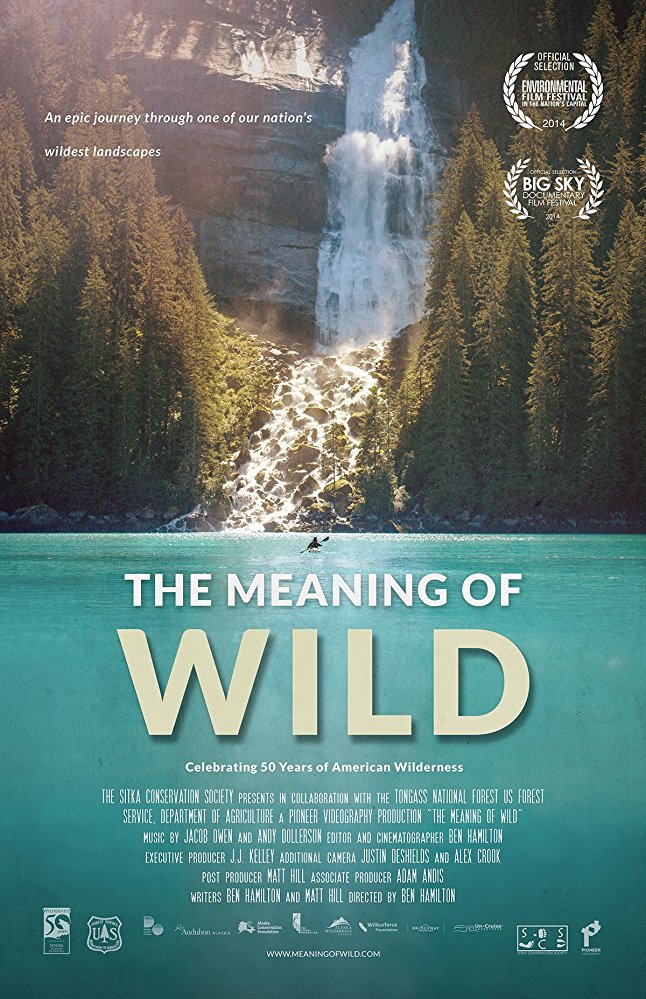The Meaning of Wild - Posters