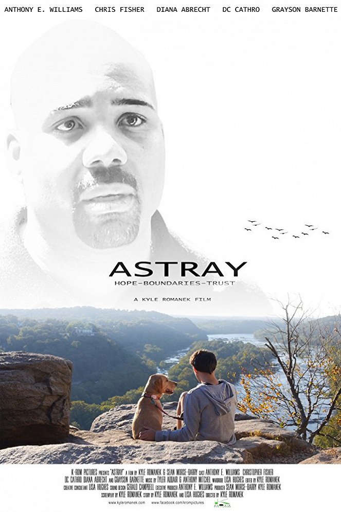 Astray - Posters