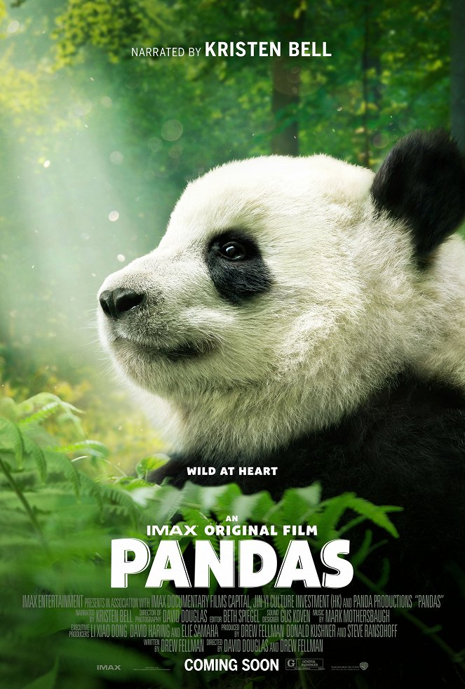 Pandas - Plakáty