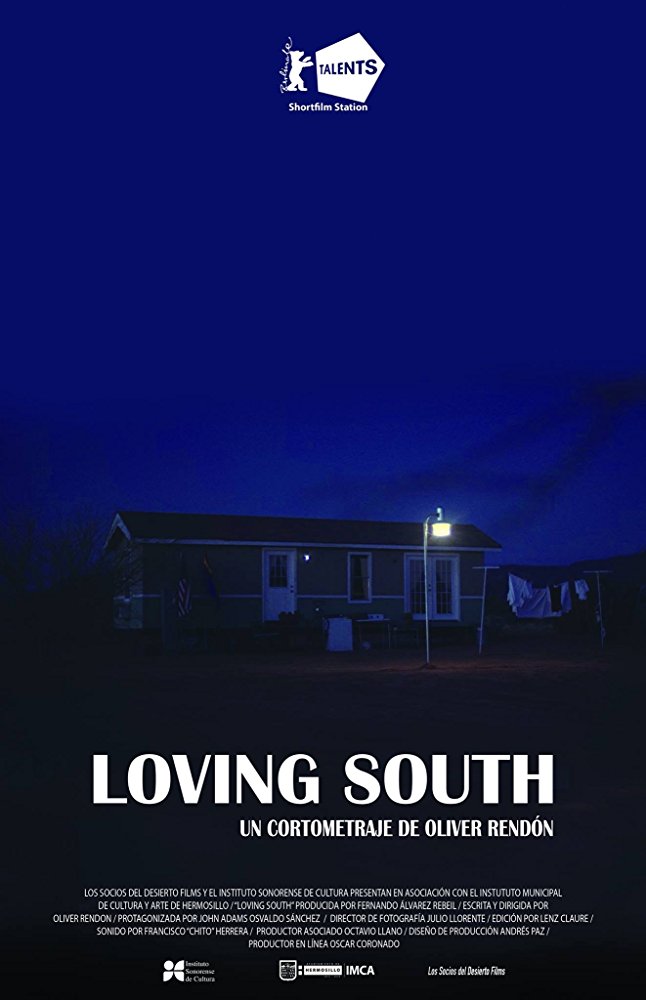 Loving South - Posters