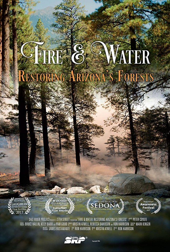 Fire and Water: Restoring Arizona's Forests - Julisteet