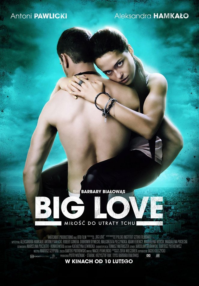 Big Love - Plagáty
