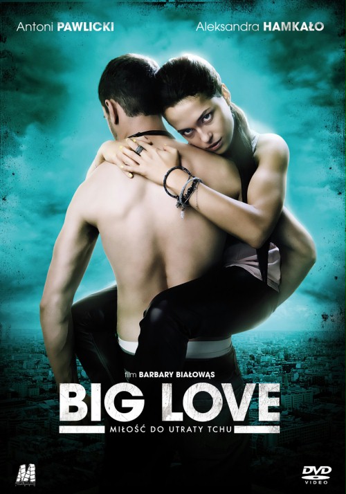 Big Love - Affiches