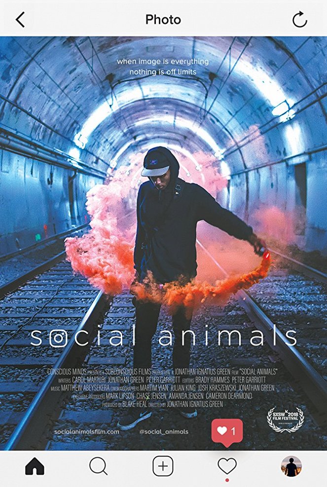 Social Animals - Cartazes