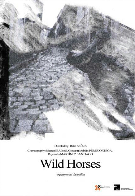 Wild Horses - Plagáty