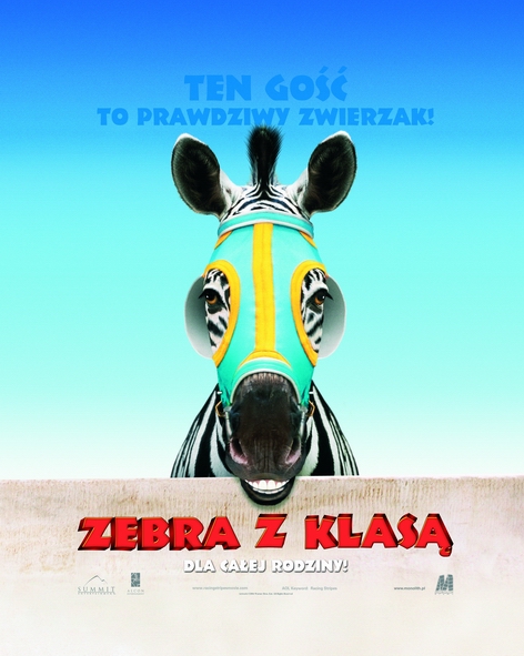 Zebra z klasą - Plakaty