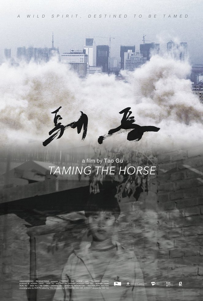Taming the Horse - Carteles