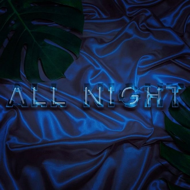 Steve Aoki ft. Lauren Jauregui - All Night - Cartazes
