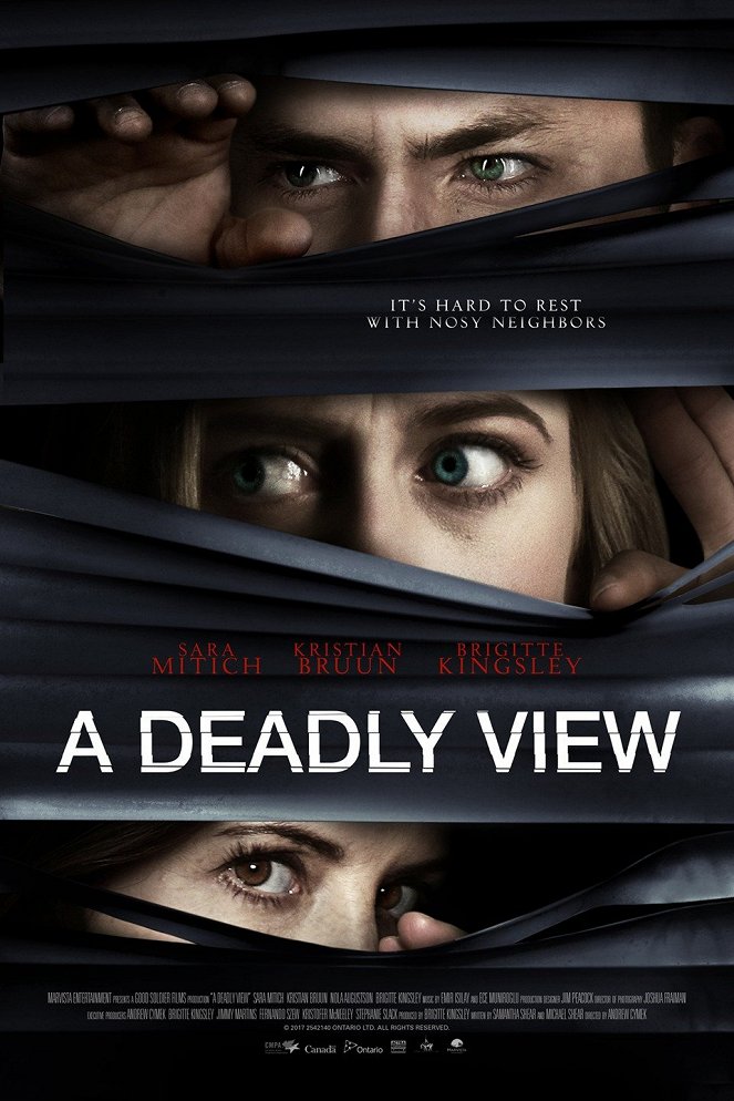 A Deadly View - Posters