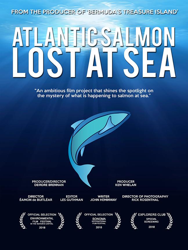 Atlantic Salmon: Lost at Sea - Plakate
