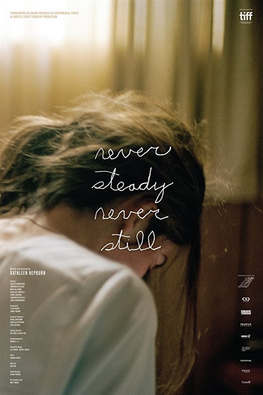 Never Steady, Never Still - Affiches