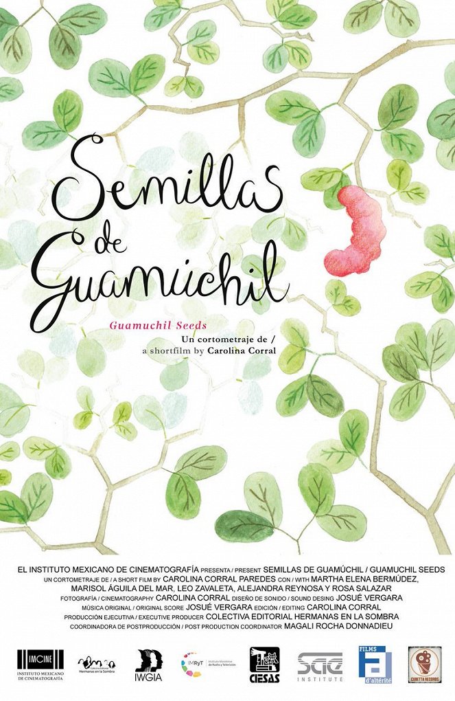 Guamúchil Seeds - Plakaty