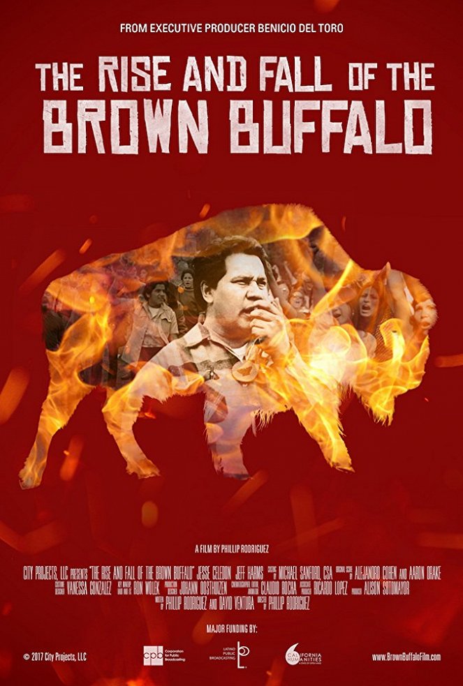 The Rise and Fall of the Brown Buffalo - Plakaty