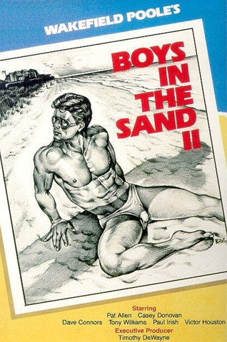 Boys in the Sand II - Affiches