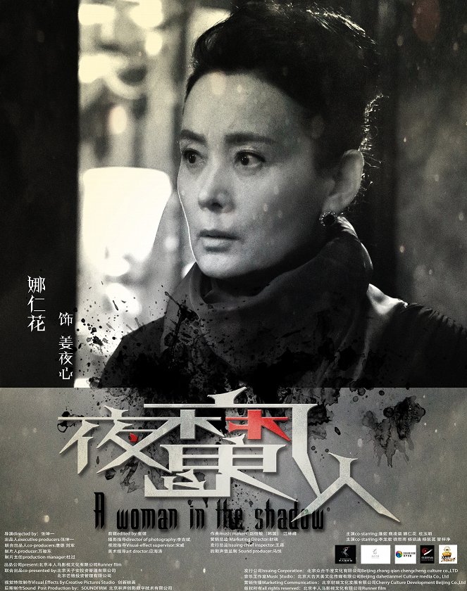 A Woman in the Shadow - Posters