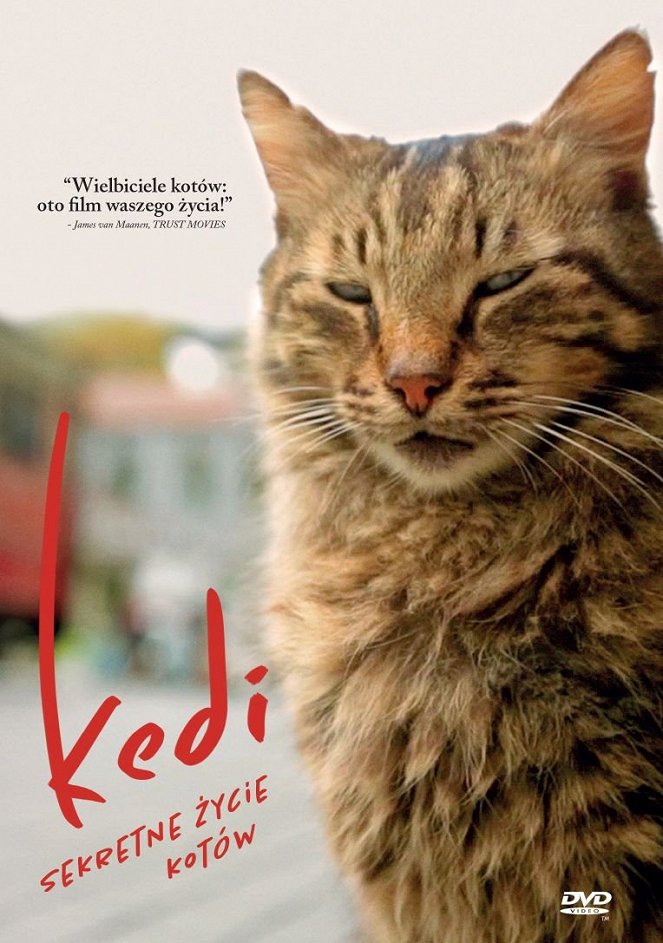 Kedi - Sekretne życie kotów - Plakaty