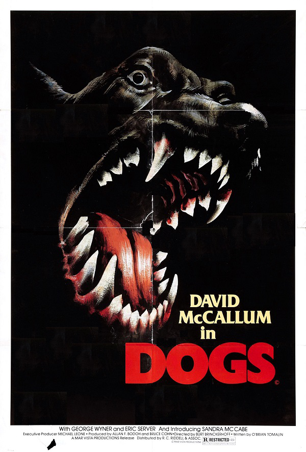 Dogs - Posters