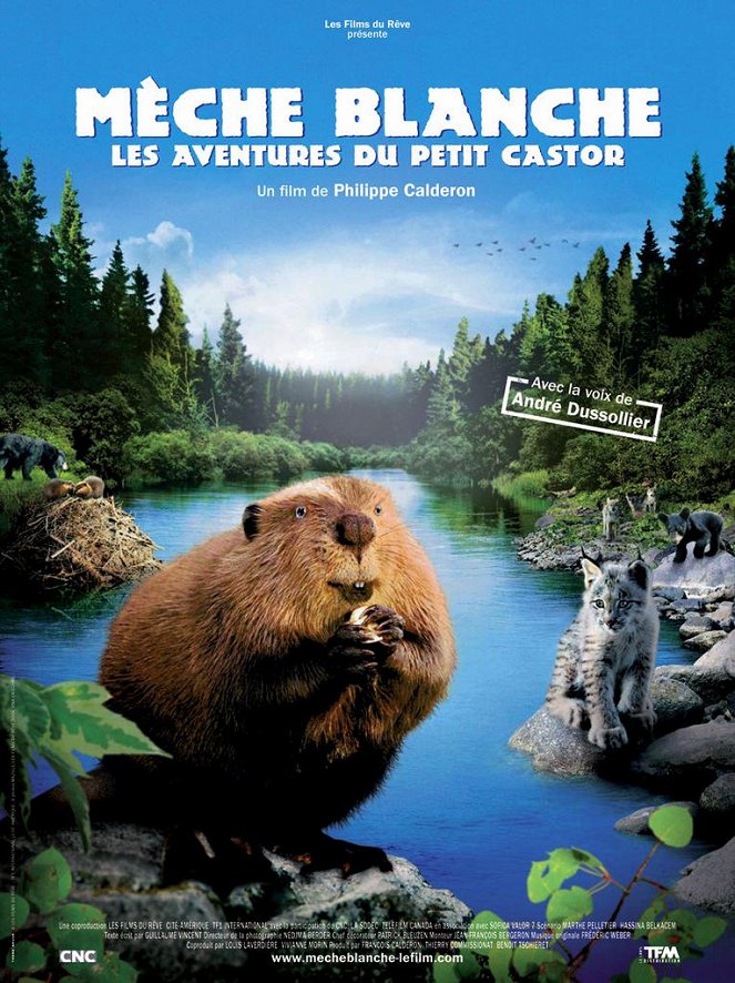 Bobři - cesta divočinou - Plakáty