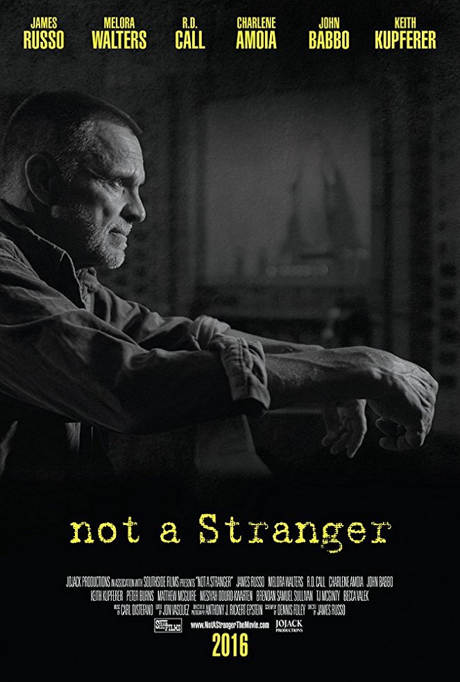 Not a Stranger - Affiches