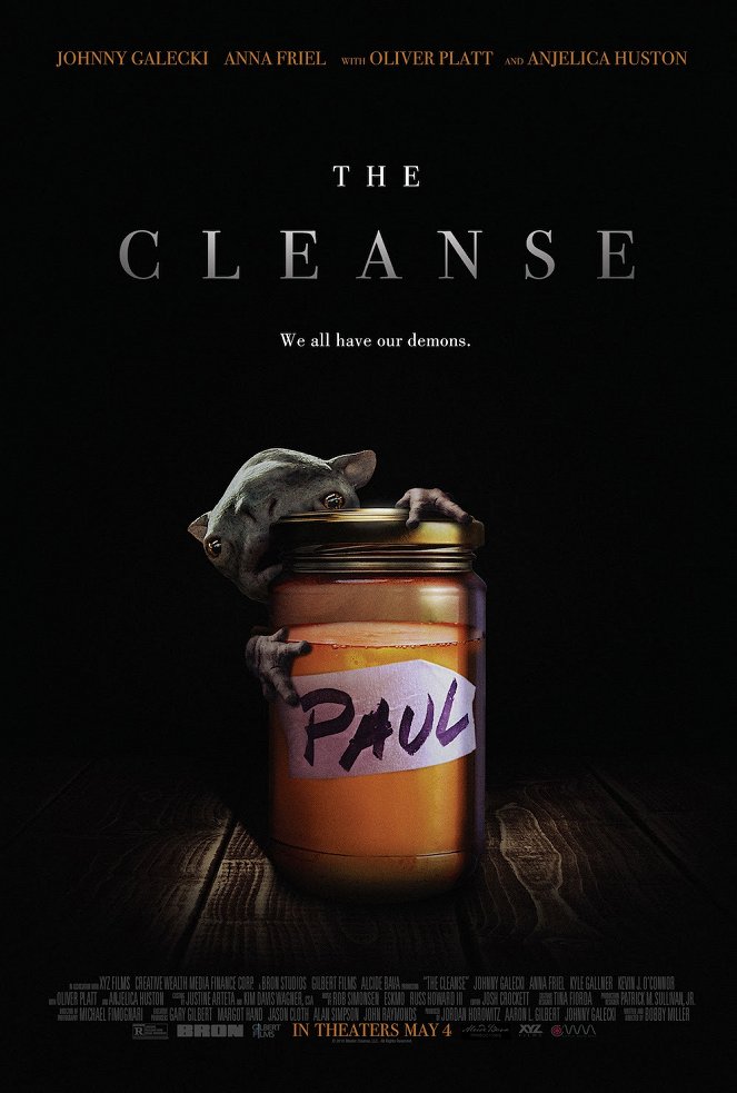 The Cleanse - Affiches