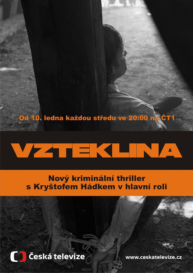 Vzteklina - Posters