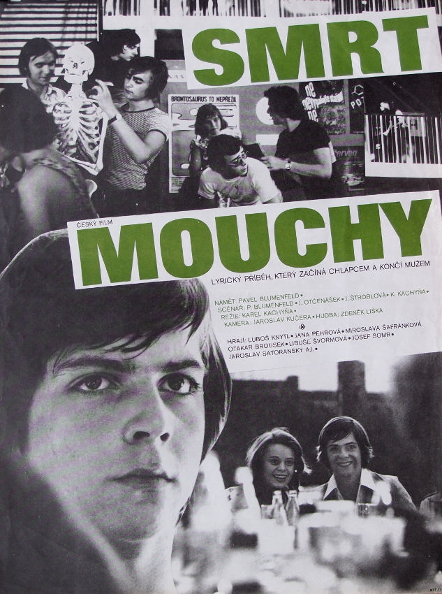 Smrt mouchy - Affiches