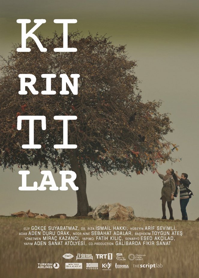 Kırıntılar - Affiches