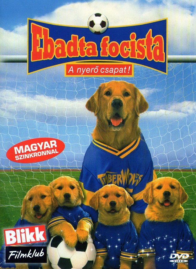 Ebadta focista - Plakátok