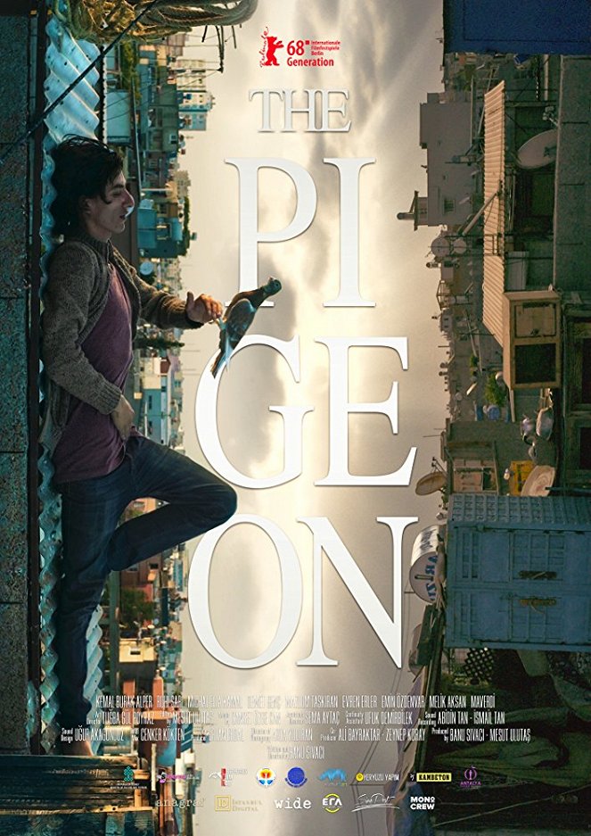 The Pigeon - Posters