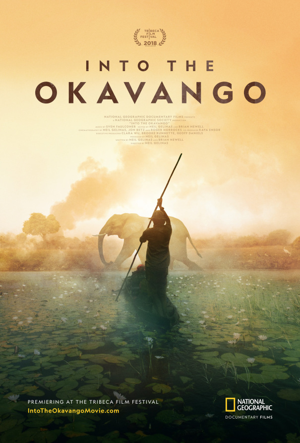 Into the Okavango - Affiches