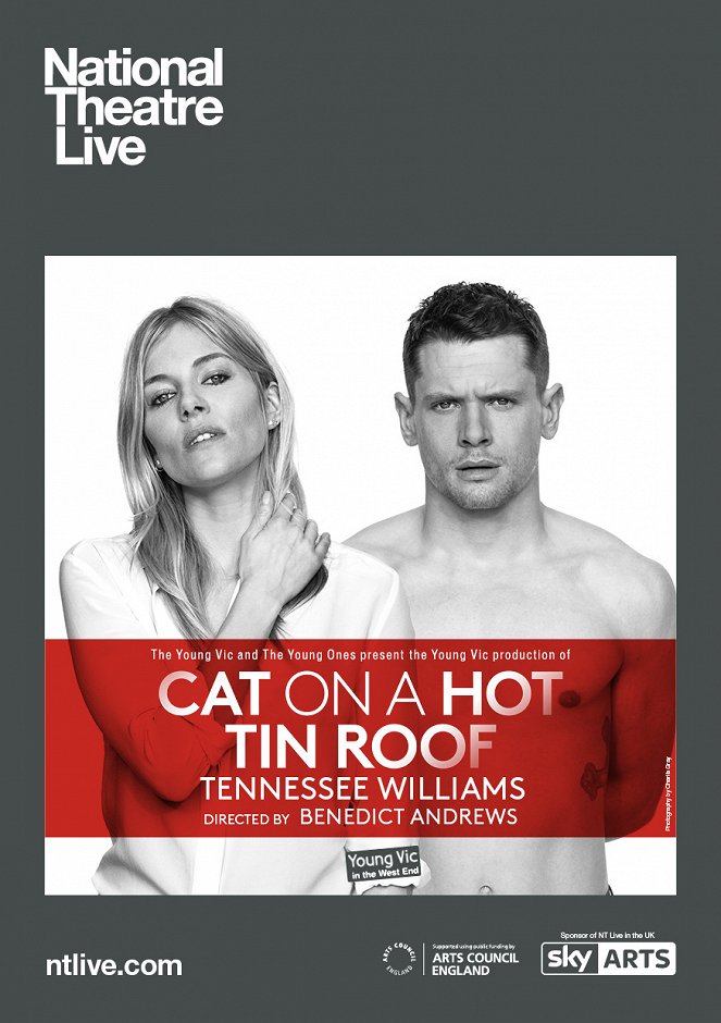 Cat on a Hot Tin Roof - Plakate