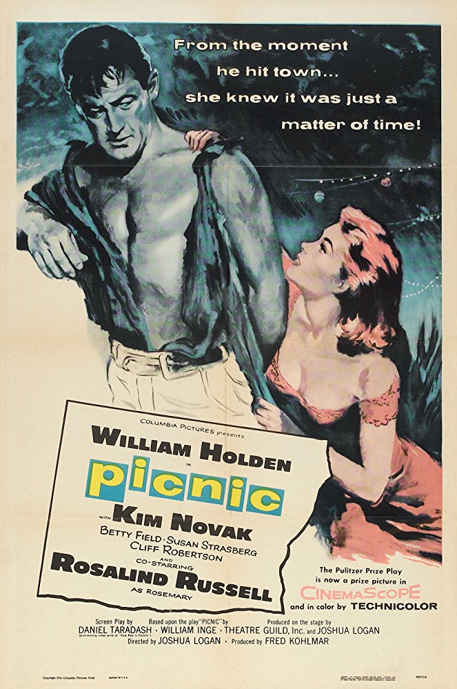 Picknick - Plakate