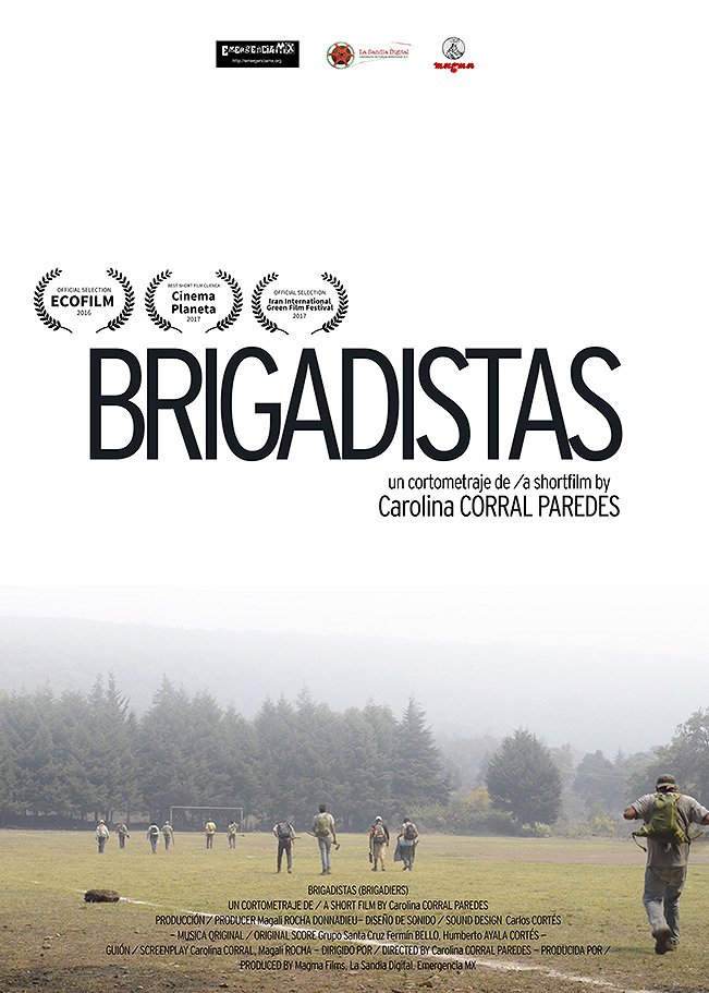 Brigadiers - Posters