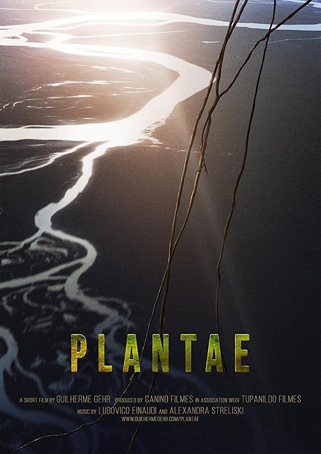 Plantae - Cartazes