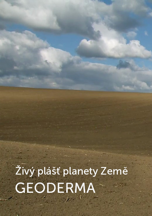Živý plášť planety Země - GEODERMA - Plakate