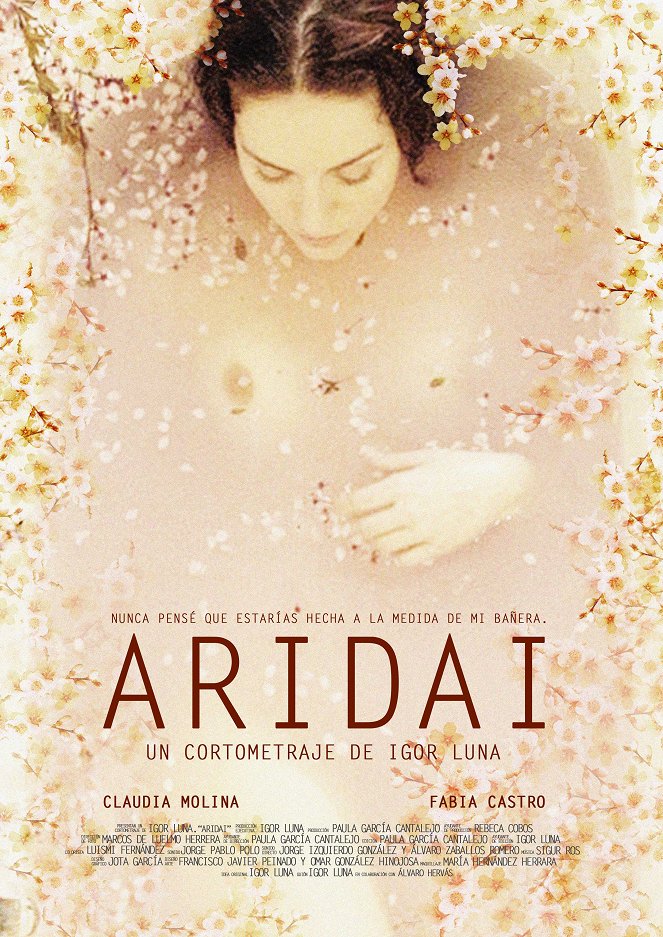 Aridai - Posters