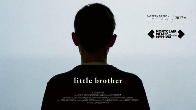 Little Brother - Carteles