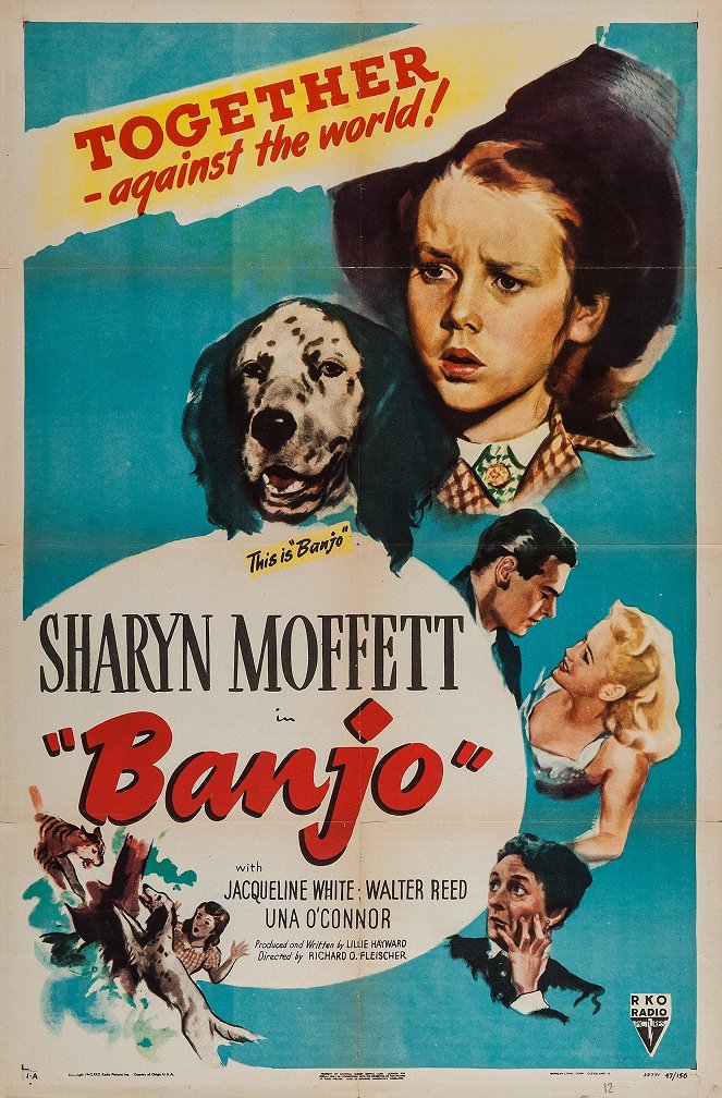 Banjo - Plakate