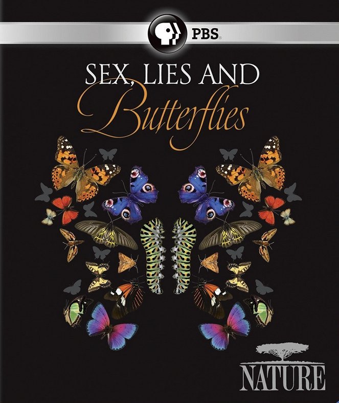 Sex, lži & motýli - Plagáty