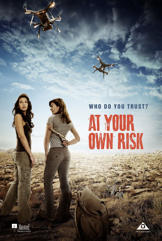 At Your Own Risk - Plakate