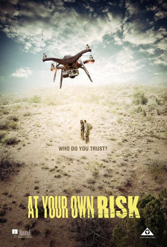 At Your Own Risk - Plagáty