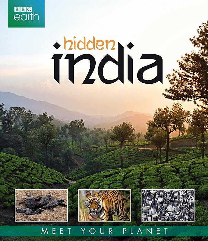 Hidden India - Cartazes
