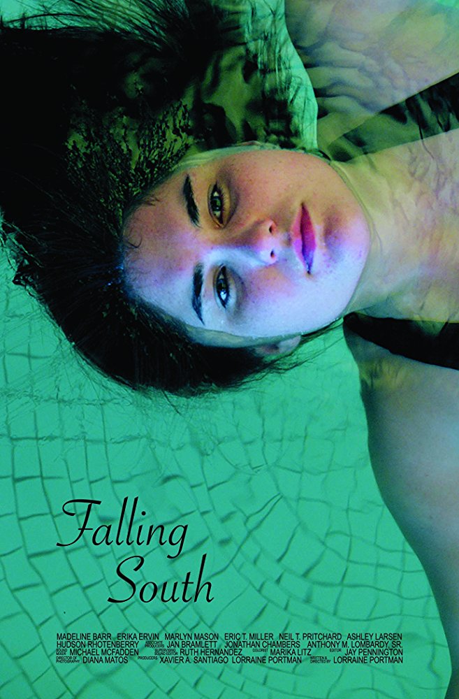Falling South - Plakáty