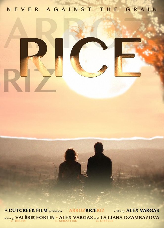 Rice - Plakate
