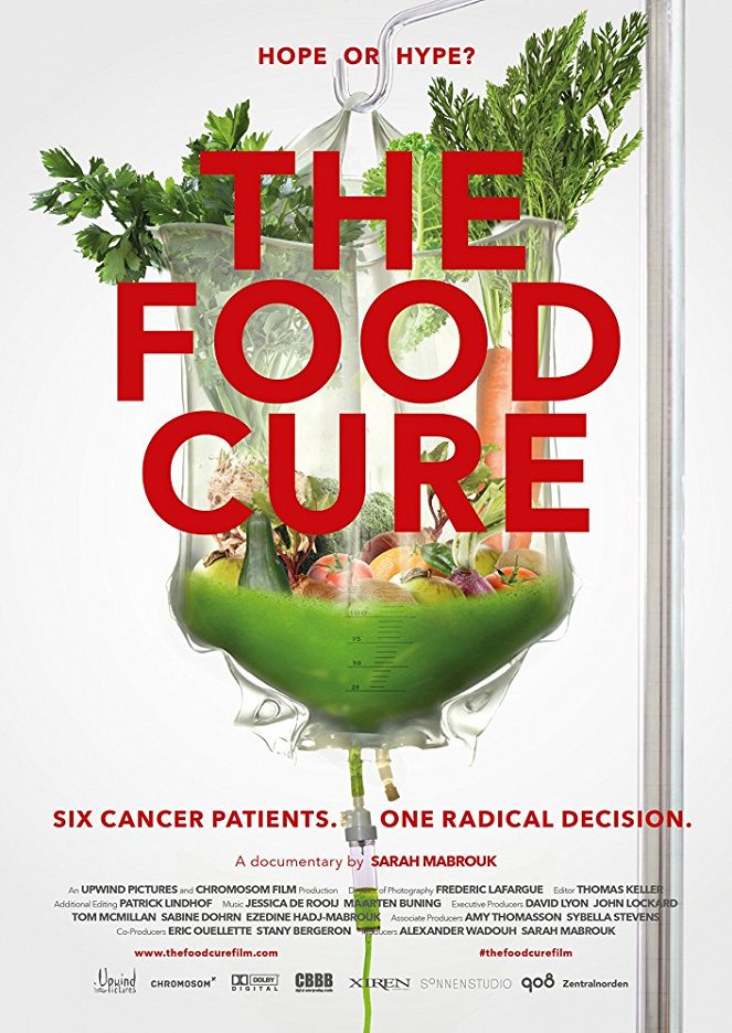 The Food Cure: Hope or Hype? - Affiches
