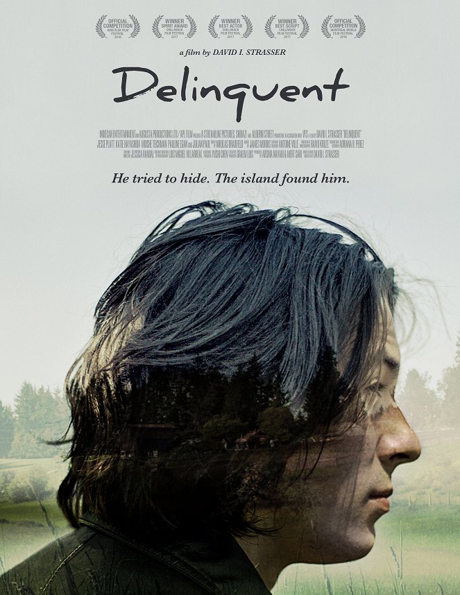 Delinquent - Plakátok