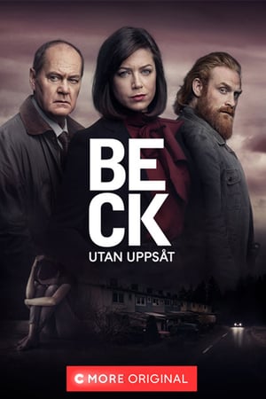 Beck - Season 6 - Beck - Utan uppsåt - Posters